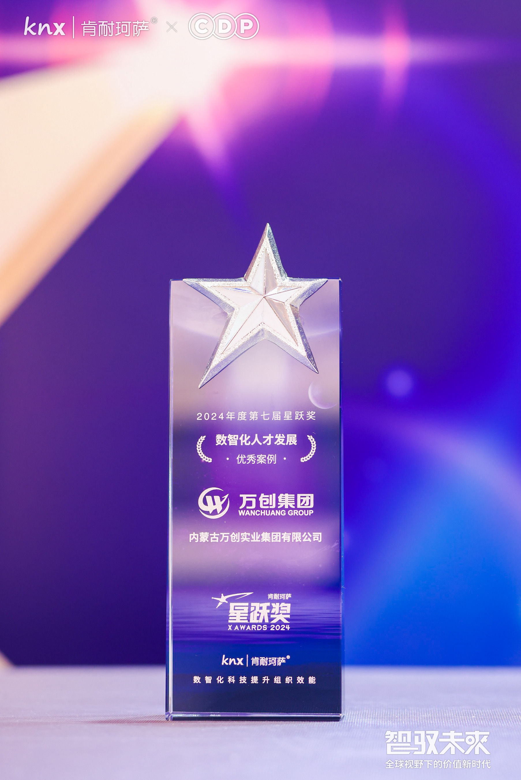 肯耐珂薩星躍獎_數(shù)智化人才發(fā)展優(yōu)秀案例獎