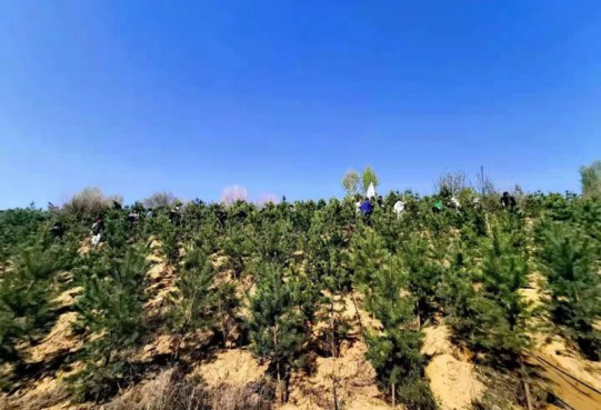 【公益】萬(wàn)創(chuàng)集團(tuán)植樹造林為鄂爾多斯綠水青山添彩助力