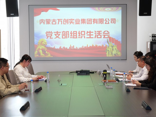 堅(jiān)守理想信念 嚴(yán)守黨紀(jì)黨規(guī) | 萬(wàn)創(chuàng)集團(tuán)黨支部召開(kāi)2024年度組織生活會(huì)